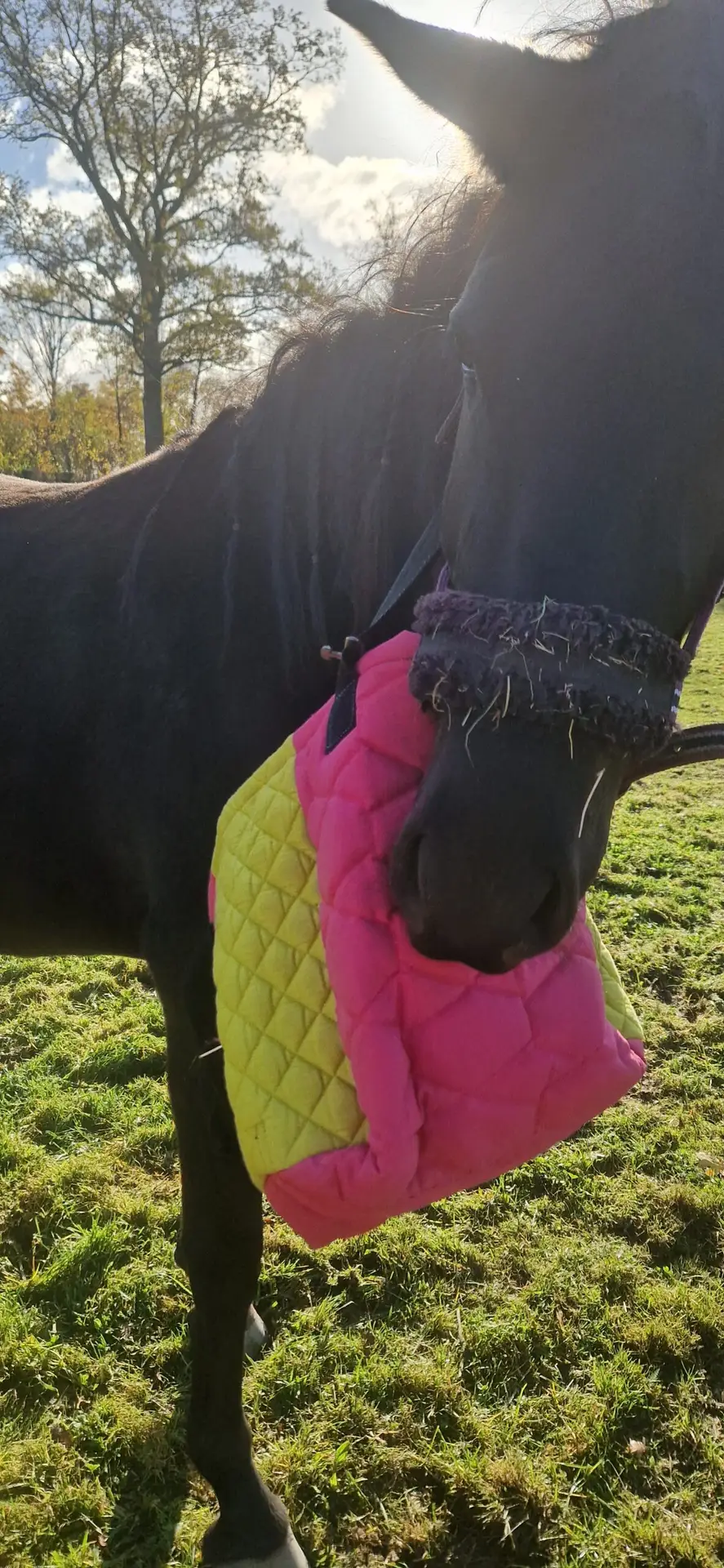 Boerinpak tas tote bag, tas van paardendekjes